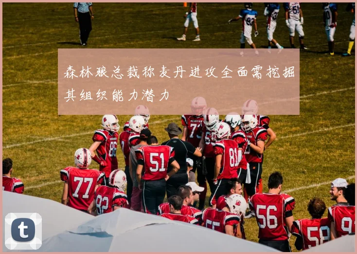 森林狼总裁称麦丹进攻全面需挖掘其组织能力潜力
