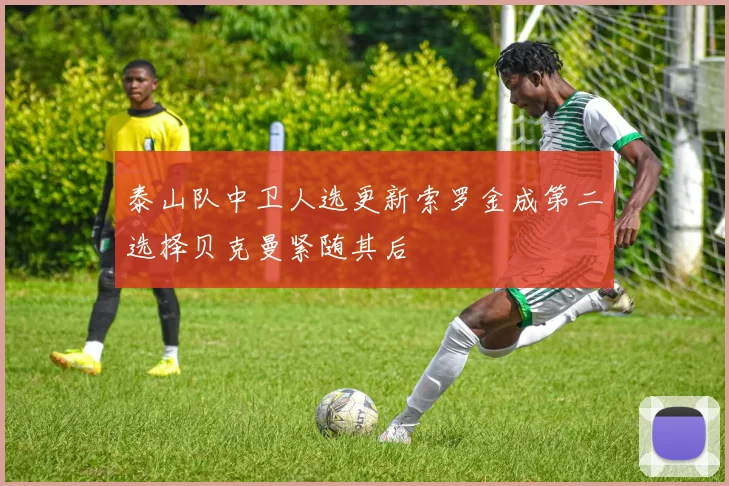 泰山队中卫人选更新索罗金成第二选择贝克曼紧随其后